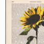 Sunflower, Vintage Collection Print, thumbnail 2 of 4