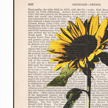Sunflower, Vintage Collection Print, 2 of 4