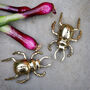 Brass Stag Beetle Salt And Pepper Set, thumbnail 1 of 2