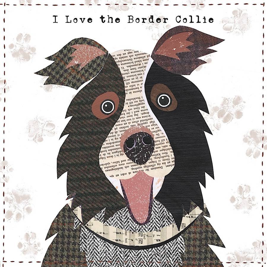 border collie cushion