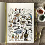 Water Birds Of Britain Watercolour Postcard, thumbnail 4 of 12