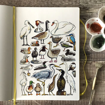 Water Birds Of Britain Watercolour Postcard, 4 of 12