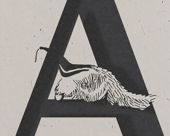 A Is For Anteater, Alphabet Card, 2 of 3