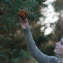 Winter Foraging Walk For One In The South Downs, thumbnail 2 of 12