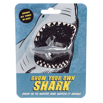 Grow Your Own Shark, 3 of 3