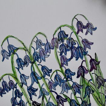 Bluebell Watercolour A4 Art Print, 4 of 5