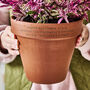 Birthday Gift Personalised Terracotta Flower Pot, thumbnail 1 of 2