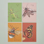 Set Of Four Greeting Cards Of British Insects, thumbnail 1 of 9