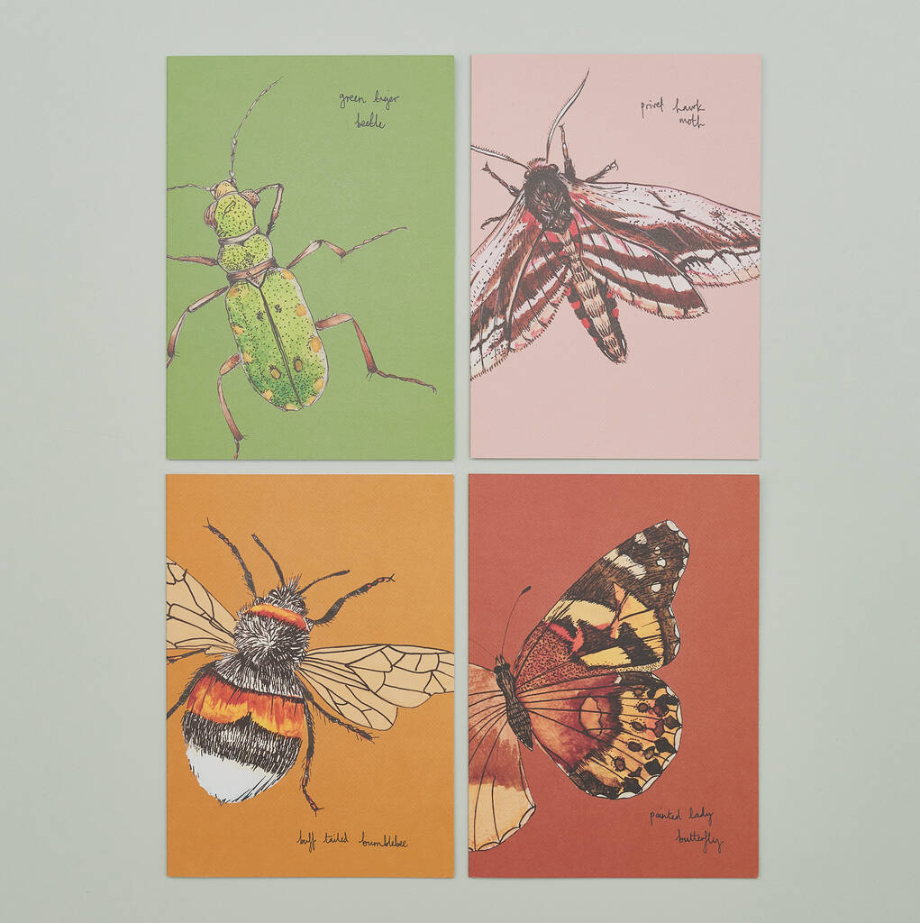 Set Of Four Greeting Cards Of British Insects, 1 of 10