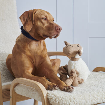 Luxury Christmas Dog Gift Hamper With Artisan Treats, 10 of 12