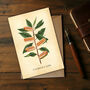 Humorous Hotdog Botanical Card, thumbnail 1 of 2