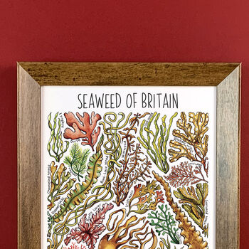 Seaweed Of Britain Wildlife Watercolour Print, 6 of 6