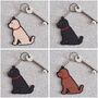 Cockapoo / Labradoodle Mug Various Colours Available, thumbnail 8 of 12