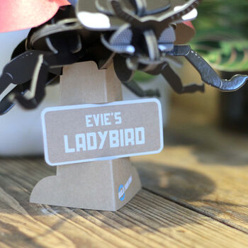 Build Your Own Personalised Ladybird Kit, 7 of 12