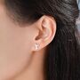 Mismatched Cute Axolotl Stud Earrings In Sterling Silver, thumbnail 2 of 9