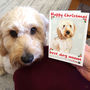 Personalised 'Buddy' Dog Christmas Card, thumbnail 1 of 8