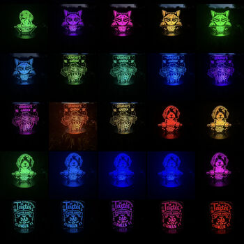 Pet Photo Memorial Colour Changing Solar Garden Light, 7 of 7