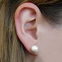 Rose Gold Plated Statement Double Pearl Drop Earrings, thumbnail 4 of 5