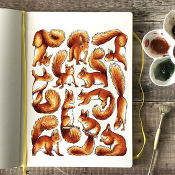 Red Squirrels Watercolour Greeting Card, 5 of 8