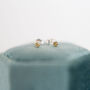 Tiny Yellow Diamond Studs In Sterling Silver, thumbnail 2 of 5