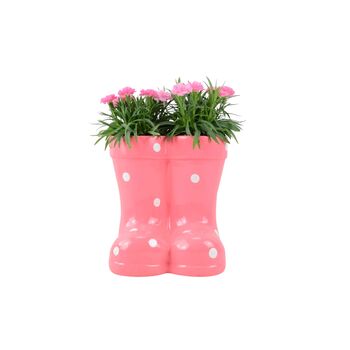 Pink Polka Dot Wellies Planter With Dianthus, 2 of 4