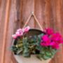 Hanging Zinc Silver Round Wall Planter – 20cm Plant Pot, thumbnail 4 of 6