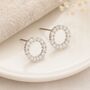 Sterling Silver And Cz Circle Stud Earrings, thumbnail 1 of 7
