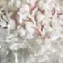 'Azalea Pure' 3D Flower Embroidered Wedding Veil, thumbnail 8 of 8