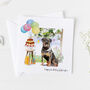 Rottweiler Dog Birthday Card, Pet Card ..7v21a, thumbnail 1 of 4