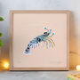 Rock Shrimp | Limited Edition Fine Art Print, thumbnail 1 of 3