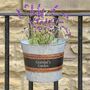 Dad's Personalised Large Garden Planter Bucket, thumbnail 3 of 8