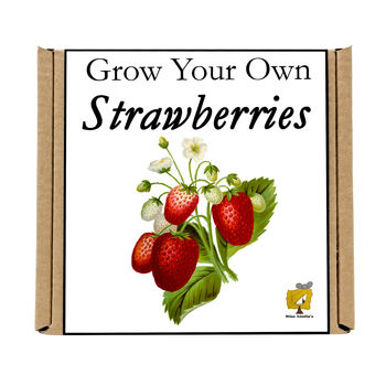 Gardening Gift. Grow Your Own Strawberry Plant Kit, 4 of 4