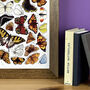 Butterflies Of Britain Wildlife Watercolour Print, thumbnail 5 of 7