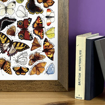 Butterflies Of Britain Wildlife Watercolour Print, 5 of 7