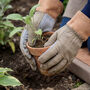 Khaki Gardening Gloves, thumbnail 1 of 7