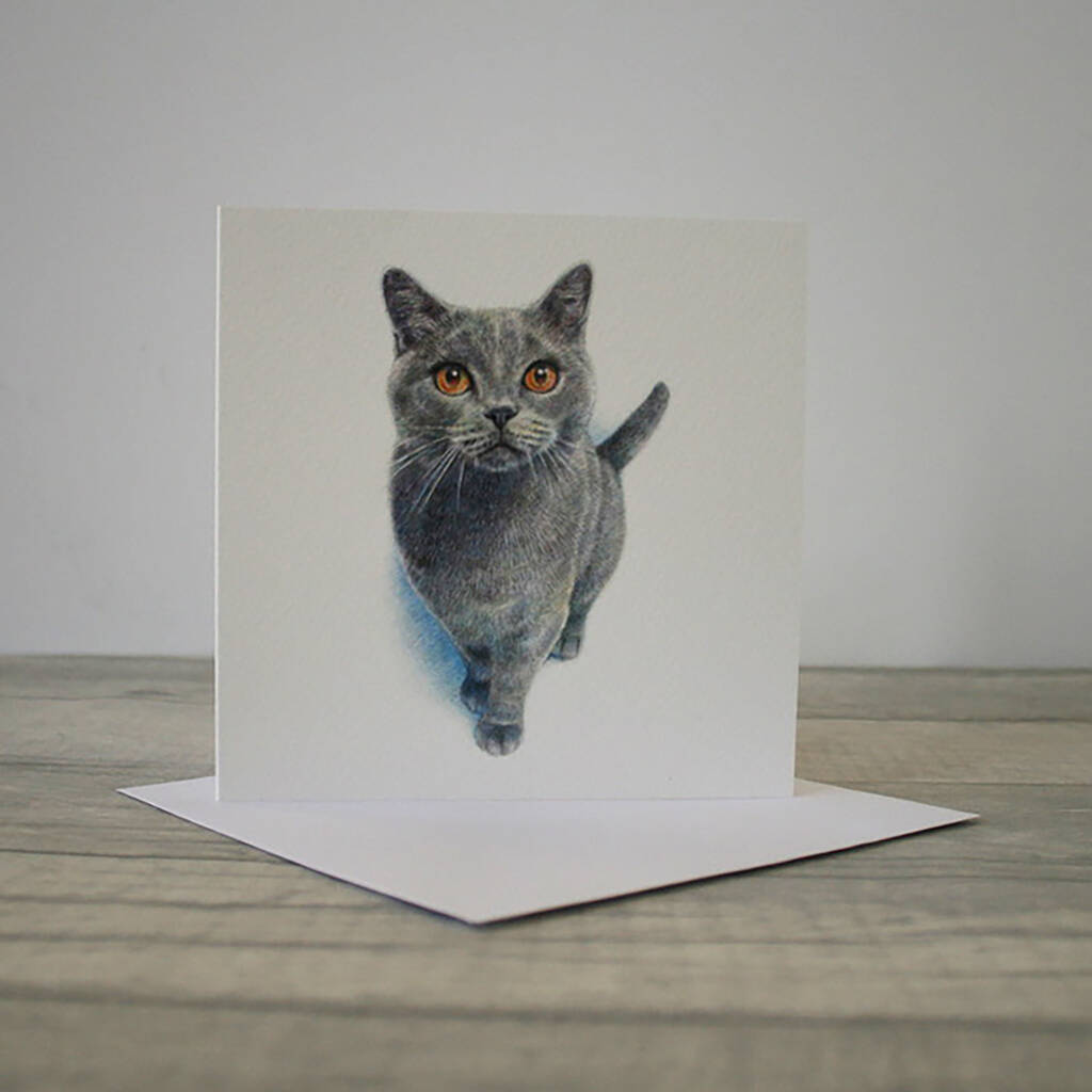 Illustrated Cat Greetings Card, 1 of 2