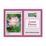 Lotus Flower Grow Kit, thumbnail 4 of 4
