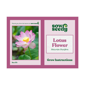 Lotus Flower Grow Kit, 4 of 4