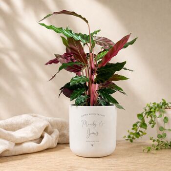 Personalised 20th Anniversary Plant Pot Gift, 2 of 6