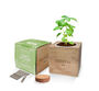 Personalised Basil Desktop Cube Garden, thumbnail 5 of 6