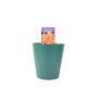 Rose 'Thank You' Bush Fragrant5.5 L Pot Garden Gift, thumbnail 4 of 8