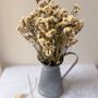 Cream Dried Wildflowers In Silver Jug, thumbnail 2 of 3