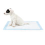 Lords And Labradors Puppy Training Pads, thumbnail 2 of 3