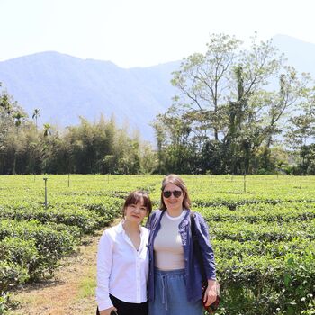 Moments With Tea Artisan Tea Gift Collection, 10 of 10