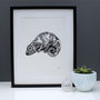 The Curious Chameleon Limited Edition Print, thumbnail 1 of 4
