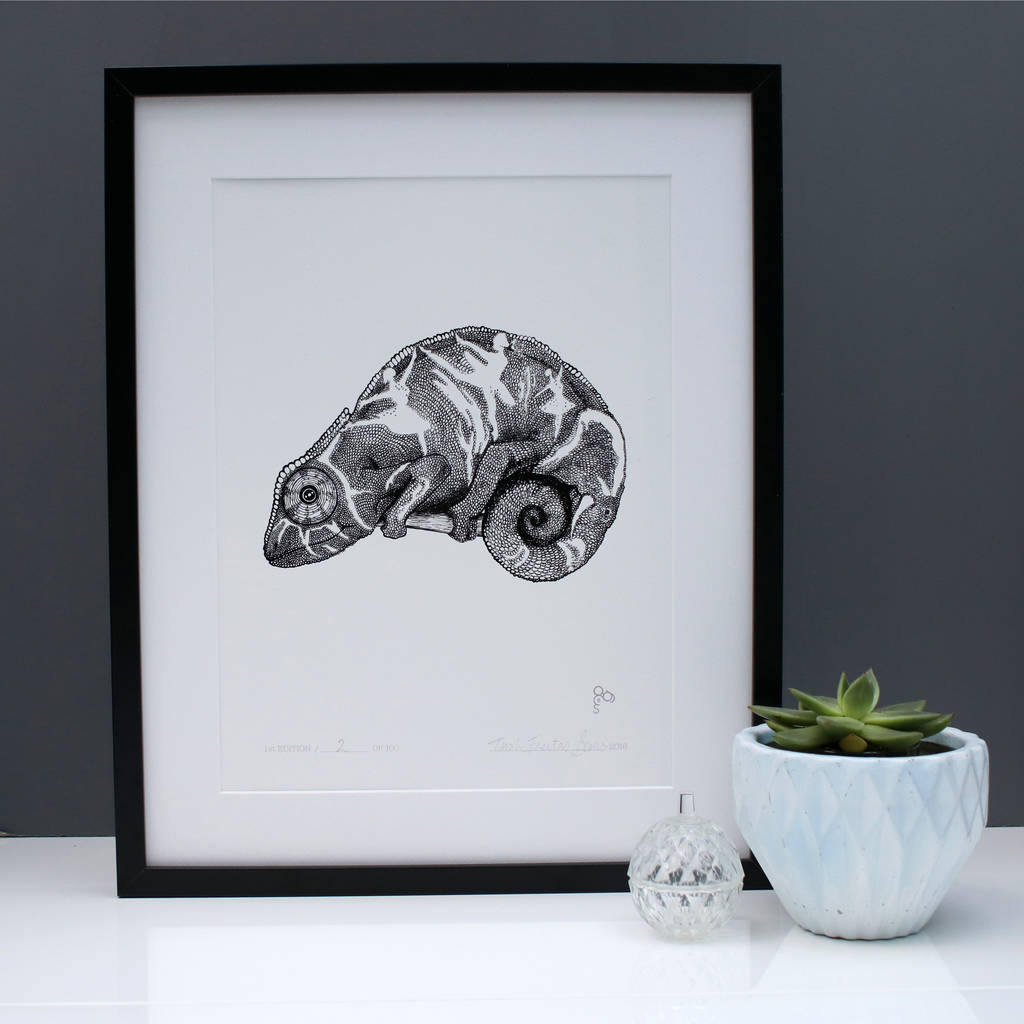 The Curious Chameleon Limited Edition Print, 1 of 4
