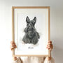 Personalised Pet Illustration Portrait Print, thumbnail 1 of 10