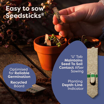 Personalised Relaxation Time Seedsticks, 5 of 11