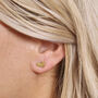 Gold Plated Bunny Earring Studs, thumbnail 1 of 5