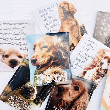 Cocker Spaniel Lovers Tea Gift | Dog Lovers Gift, 11 of 12